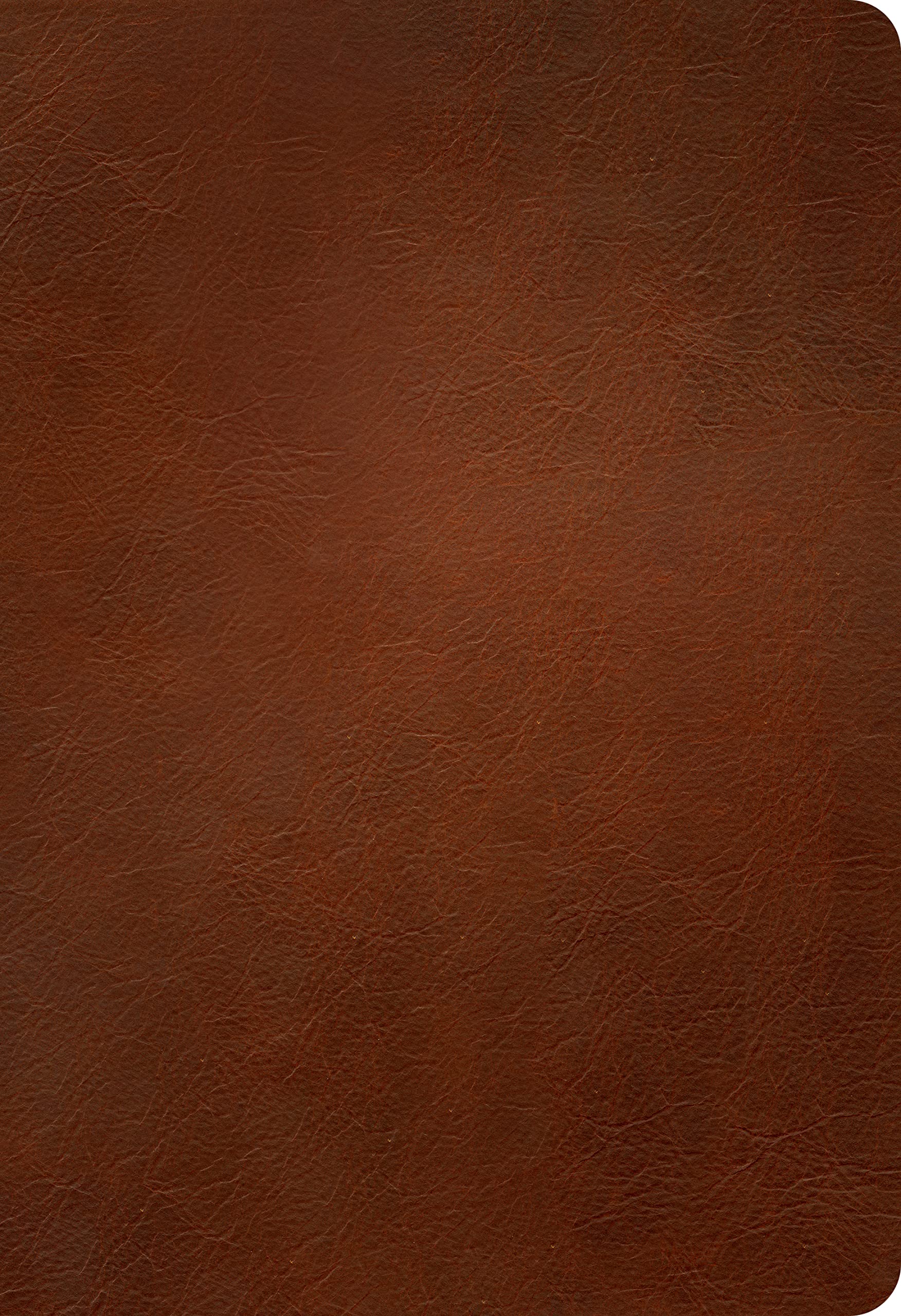 NLT Large Print Thinline Reference Bible, Filament Enabled (Genuine Leather, Brown, Red Letter)
