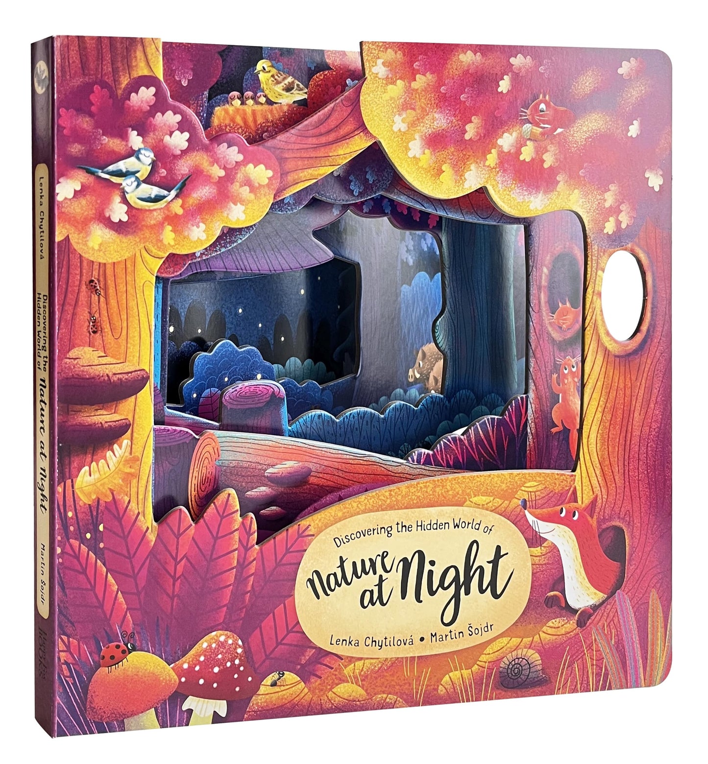 Discovering the Hidden World of Nature at Night (Happy Fox Books) Board Book for Kids Ages 3-6 to Learn About Nocturnal Forest Animals - Unique Pages, Fun Facts, and Vocabulary Words (Peek Inside)