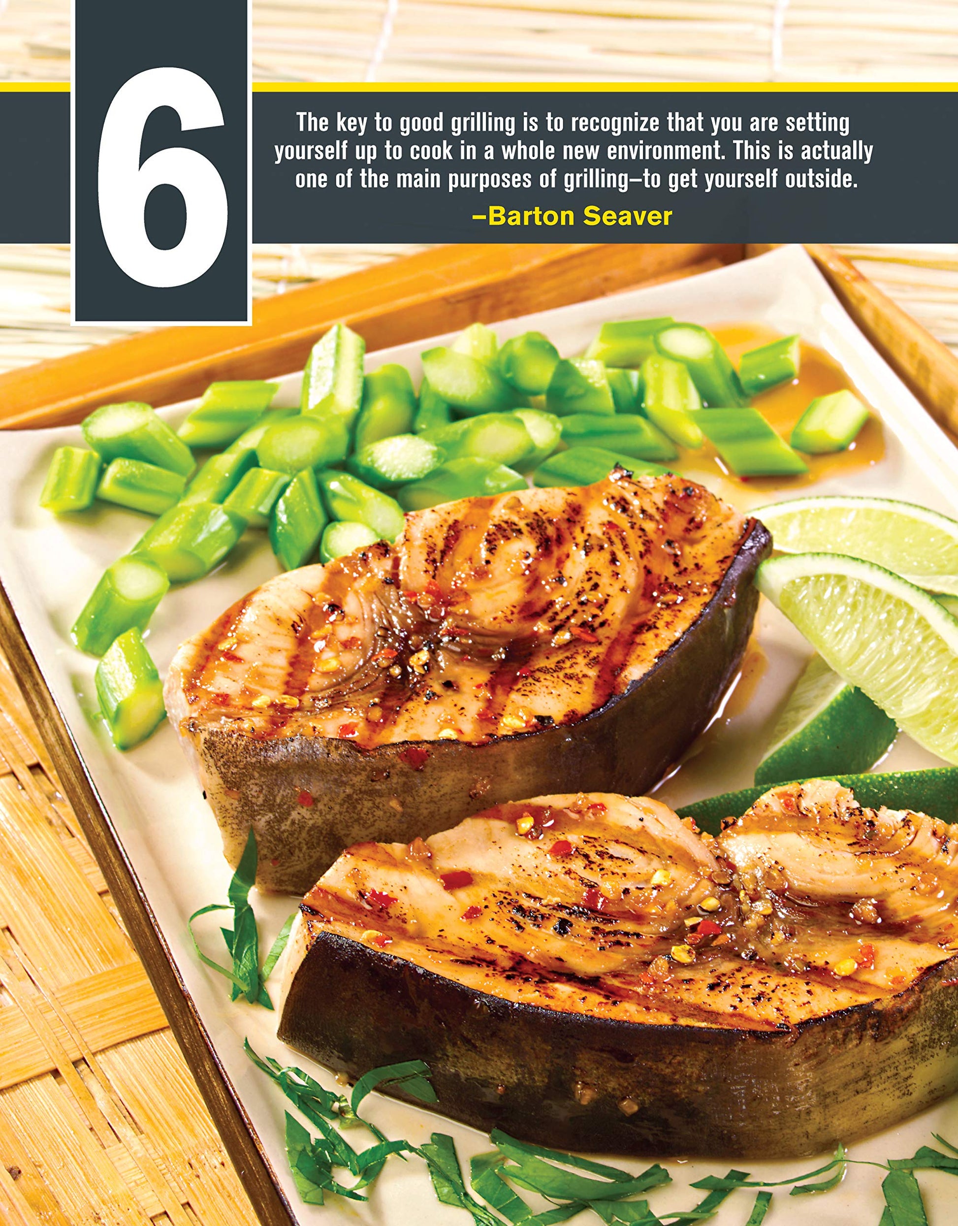 Char-Broil Great Book of Grilling: 300 Tasty Recipes for Every Meal: Delicious Appetizers, Meat, Veggies & More (Creative Homeowner) Over 300 Mouthwatering Photos & Easy-to-Make Recipes for Your Grill