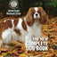 The New Complete Dog Book, 22nd Edition: Official Breed Standards and Profiles for Over 200 Breeds (CompanionHouse Books) American Kennel Club's Bible of Dogs: 920 Pages, 7 Variety Groups, 800 Photos