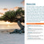 Fodor's InFocus Aruba (Full-color Travel Guide)