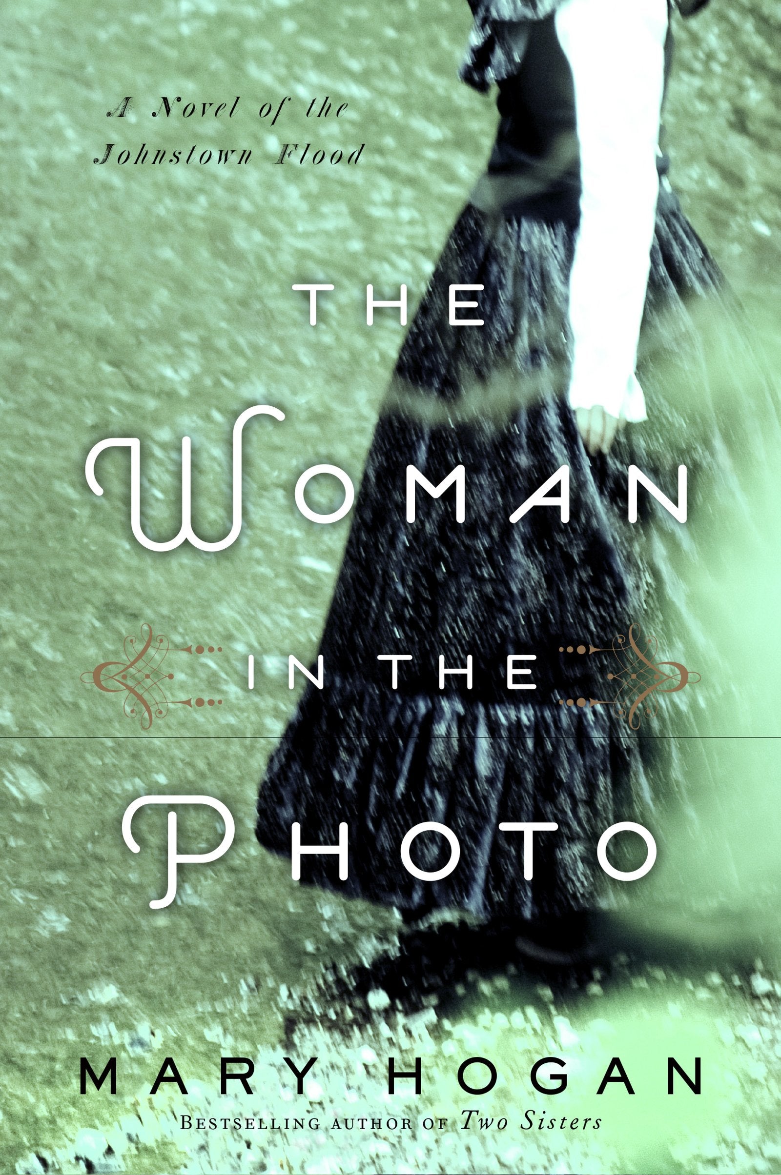 The Woman in the Photo: A Novel