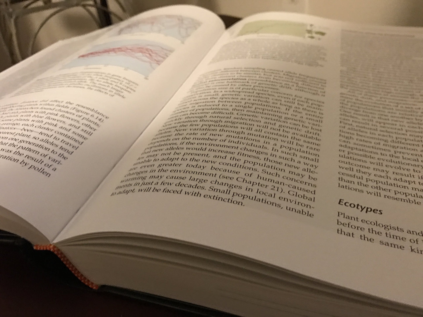 The Ecology of Plants, Second Edition by Gurevitch, Jessica