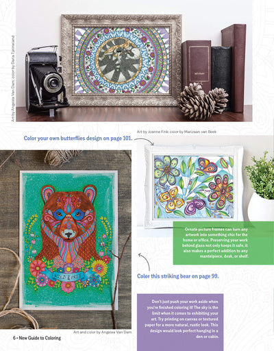 New Guide to Coloring for Crafts, Adult Coloring Books, and Other Coloristas!: Tips, Tricks, and Techniques for All Skill Levels! (Design Originals) Step-by-Step Lessons & 100 Ready-to-Color Designs
