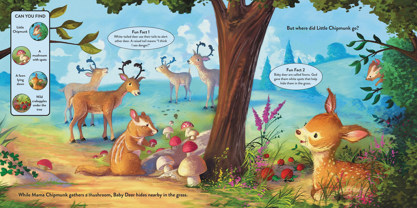Lets Learn About the Forest: A Seek-and-Find Story Through Gods Creation