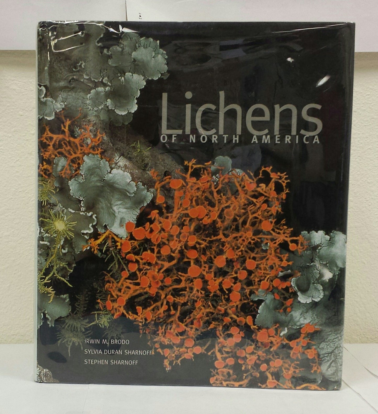 Lichens of North America by Brodo, Irwin M.