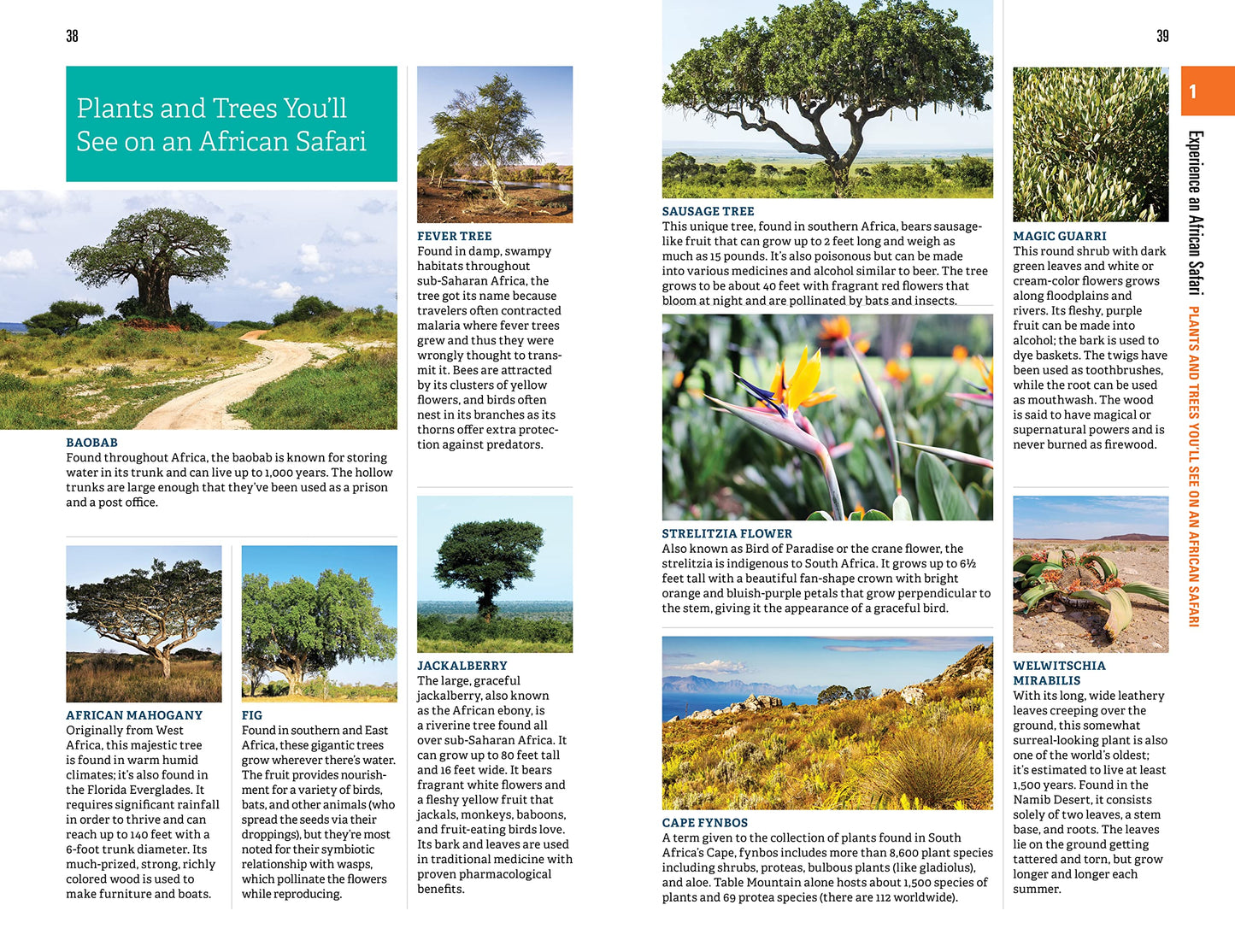Fodor's The Complete Guide to African Safaris: with South Africa, Kenya, Tanzania, Botswana, Namibia, Rwanda, Uganda, and Victoria Falls (Full-color Travel Guide)
