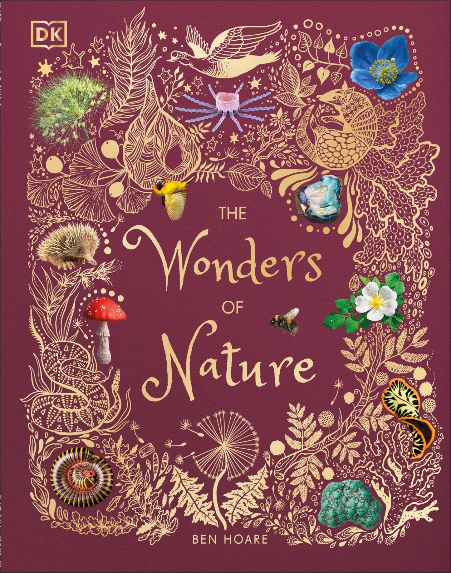 The Wonders of Nature: Discover the Incredible Stories of the Natural World (DK Children's Anthologies)