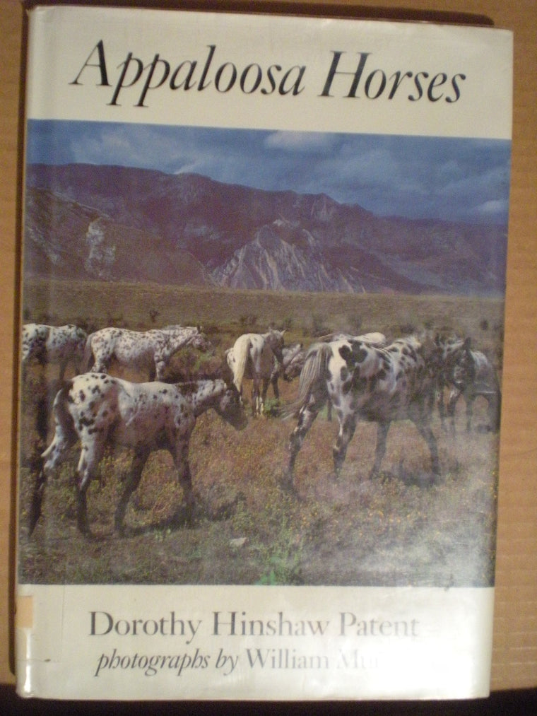 Appaloosa Horses