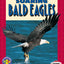 Soaring Bald Eagles (Pull Ahead Books  Animals)