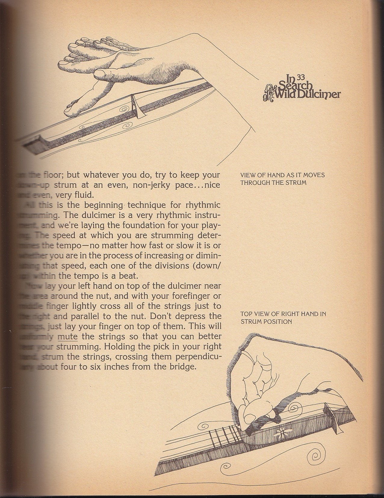In Search of the Wild Dulcimer