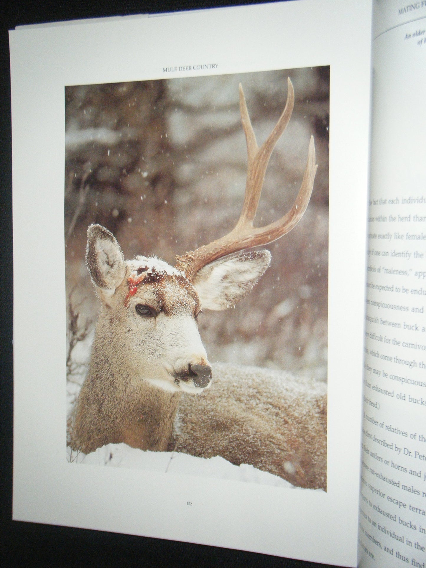 Mule Deer Country