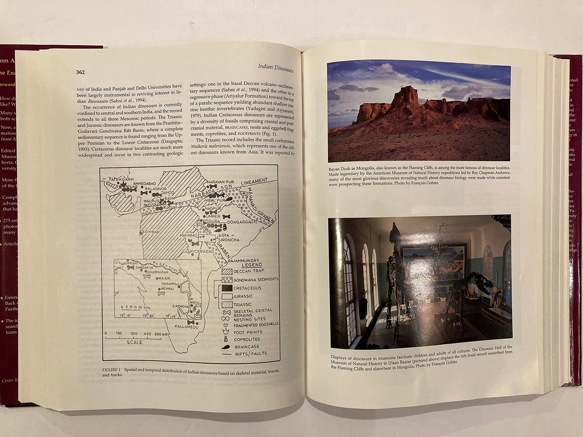 Encyclopedia of Dinosaurs