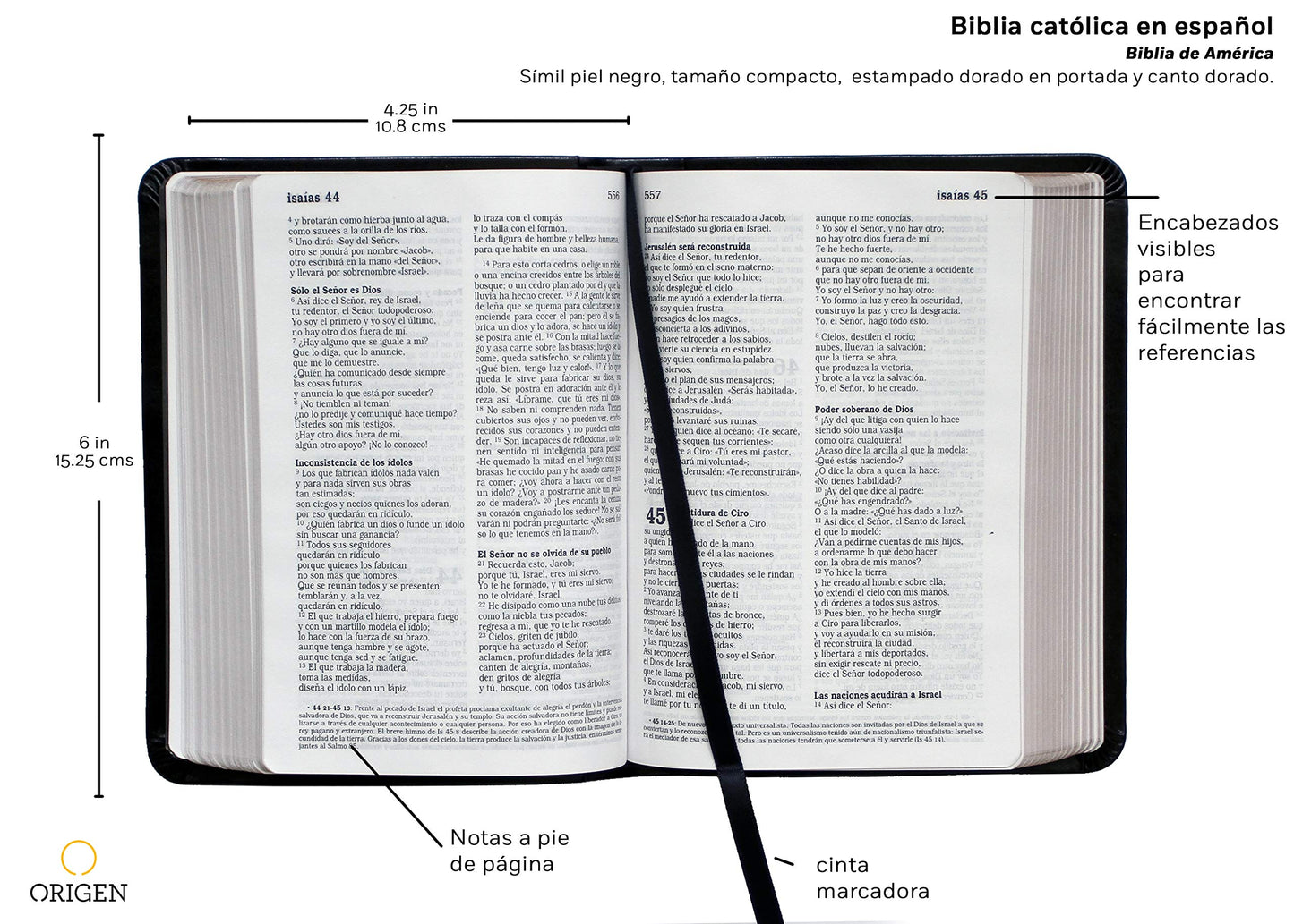 Biblia Catlica en espaol. Smil piel negro, tamao pequeo / Catholic Bible. Spanish-Language, Leathersoft, Black, Compact (Spanish Edition)