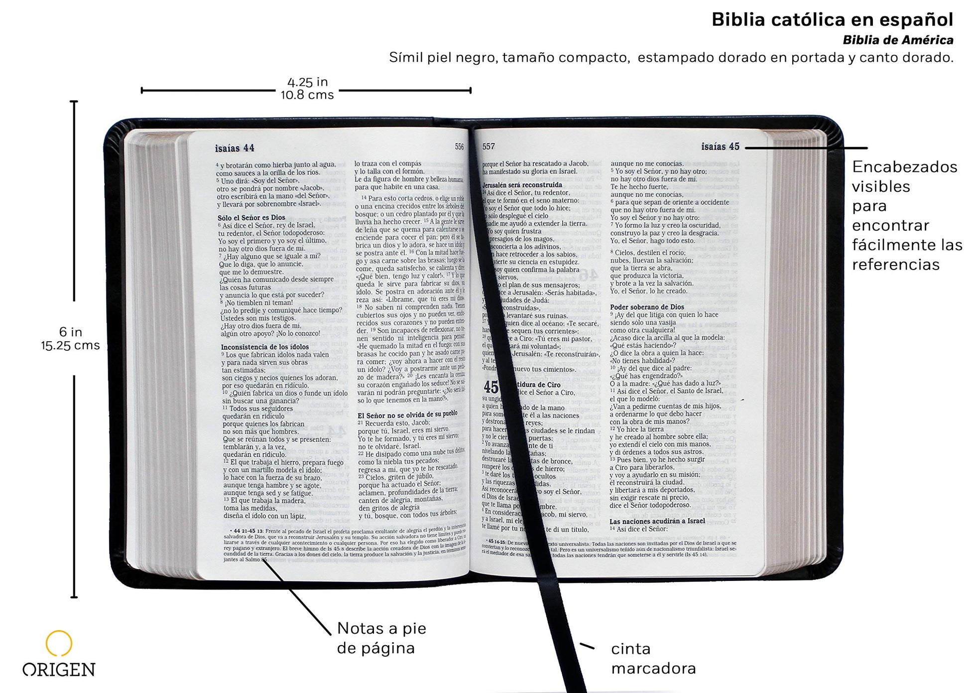 Biblia Catlica en espaol. Smil piel negro, tamao pequeo / Catholic Bible. Spanish-Language, Leathersoft, Black, Compact (Spanish Edition)