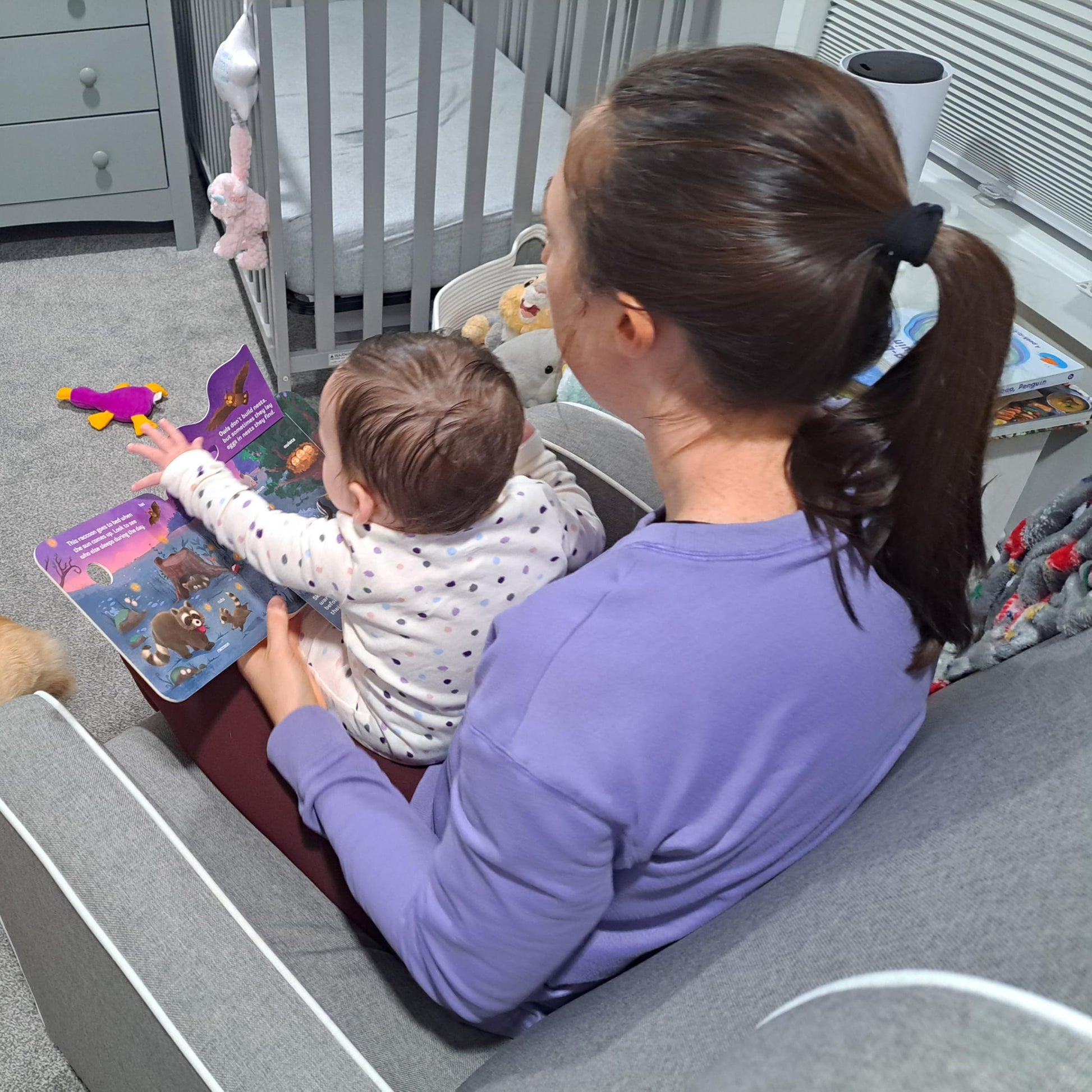 Who: Peek-a-Flap Board Book
