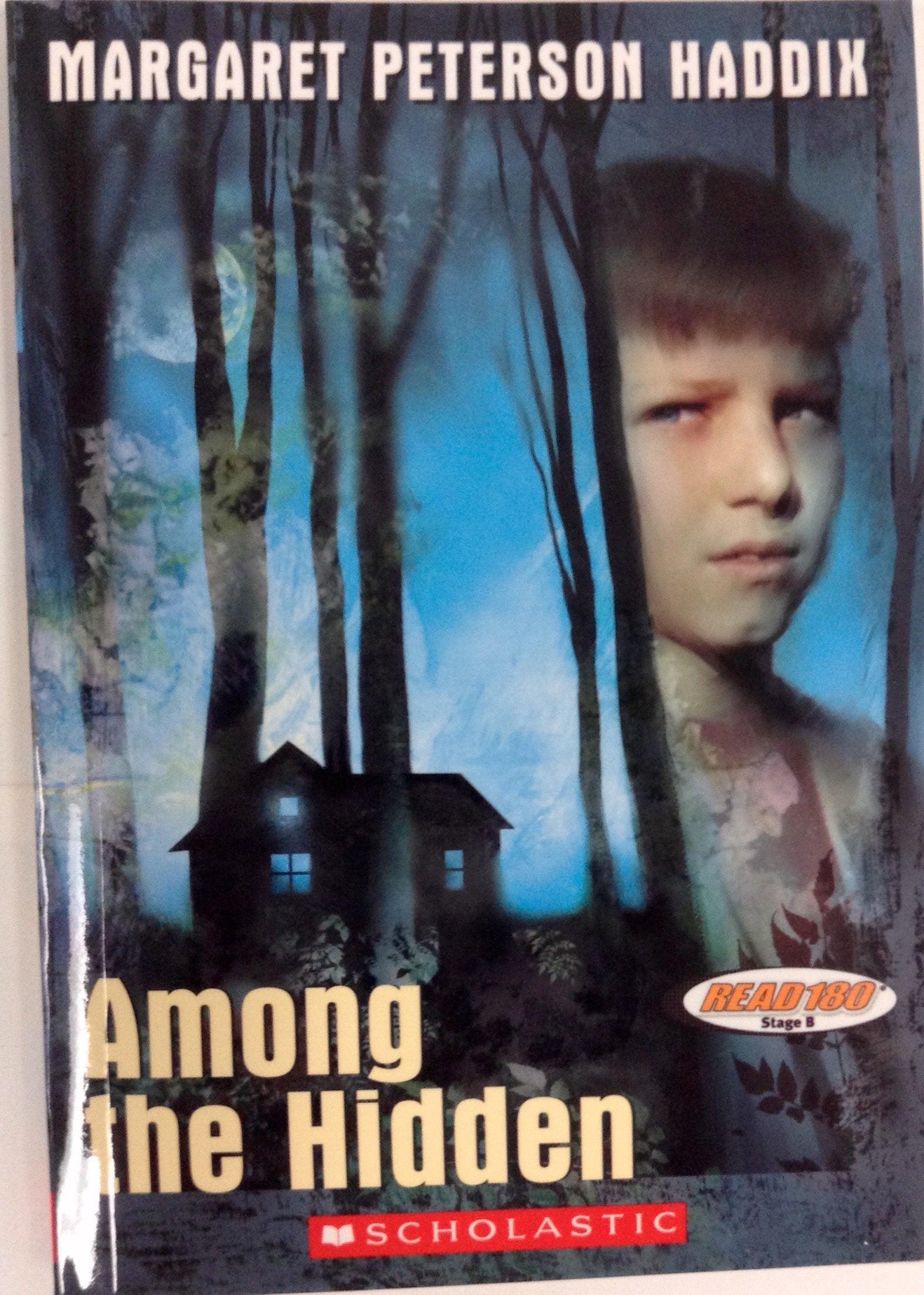 Among the Hidden