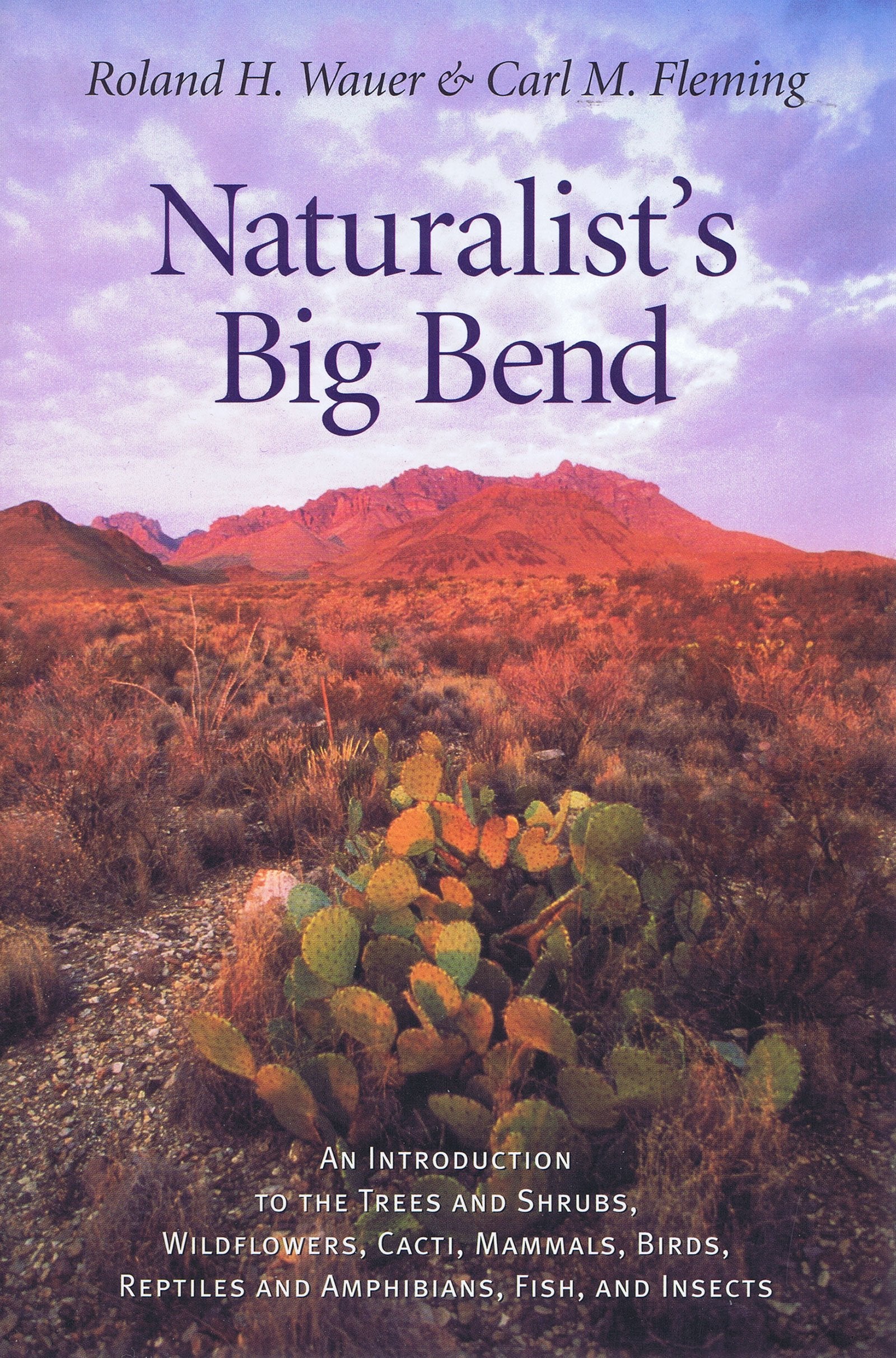 Naturalist's Big Bend: An Introduction to the Trees and Shrubs, Wildflowers, Cacti, Mammals, Birds, Reptiles and Amphibians, Fish, and Insects (Louise Lindsey Merrick Natural Environment Series, 33)