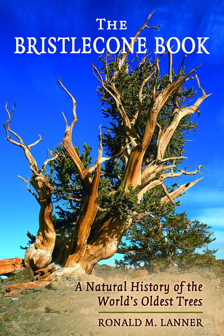 Bristlecone Book: A Natural History of the World's Oldest Trees