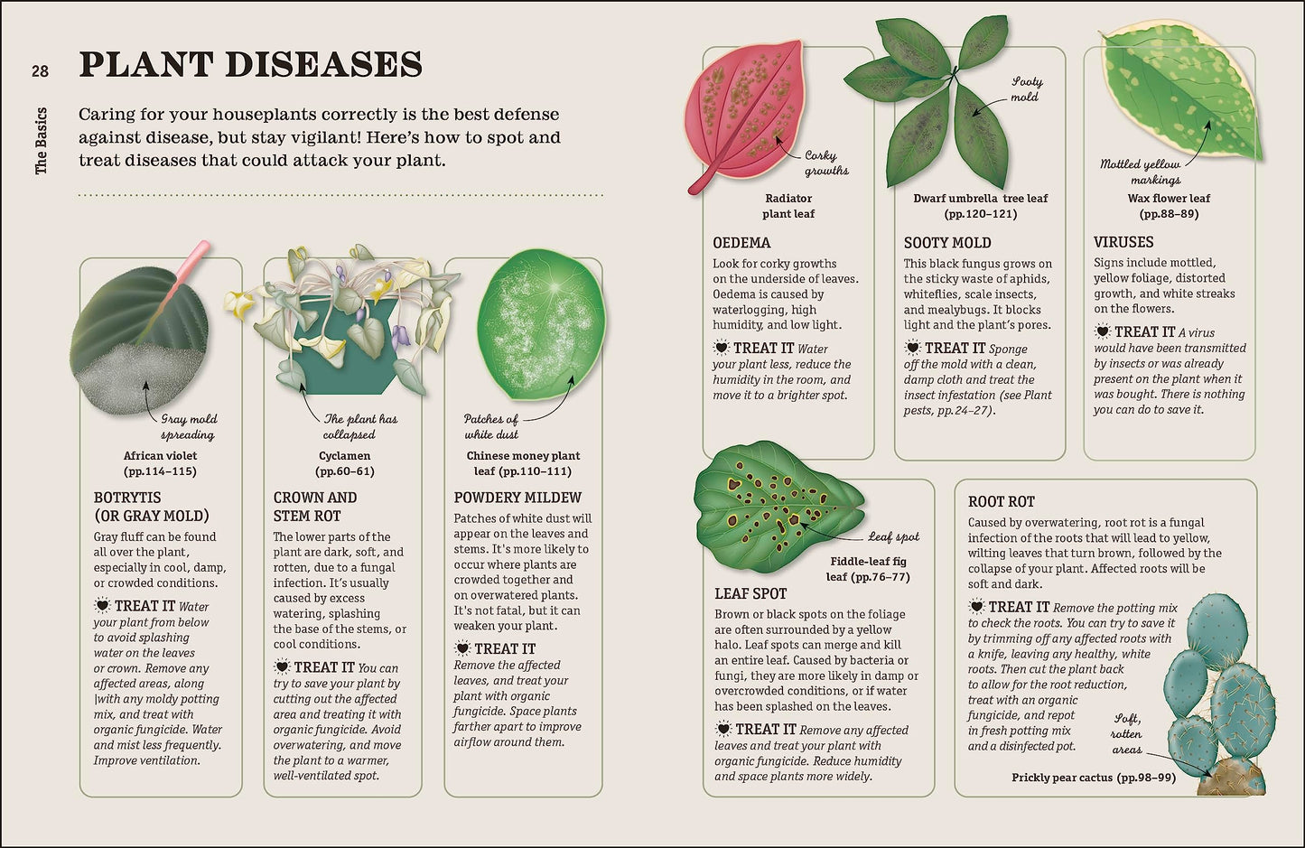 How Not to Kill Your Houseplant New Ed: Survival Tips