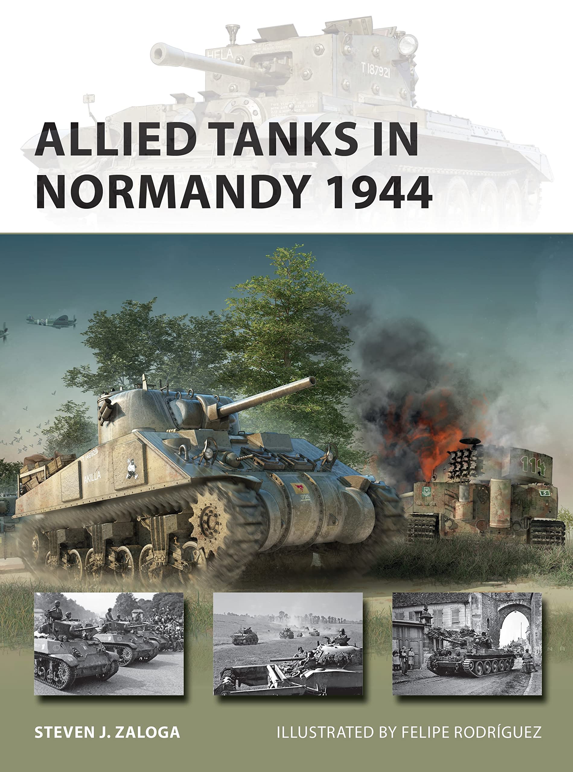 Allied Tanks in Normandy 1944 (New Vanguard, 294)