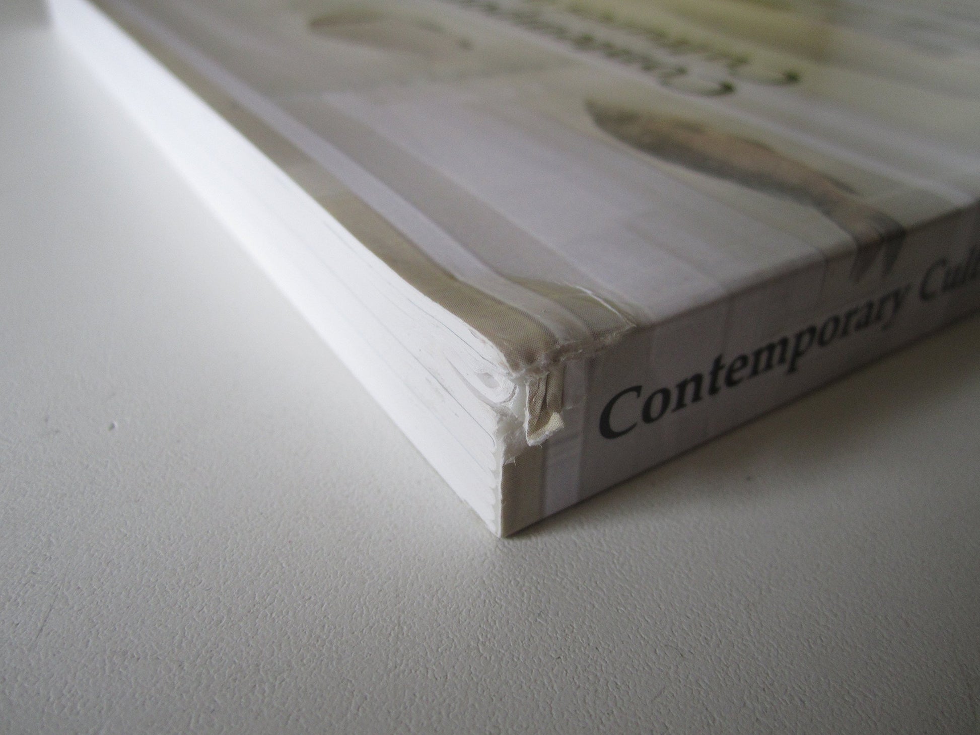 Contemporary Cultures of Display (Art and Its Histories Series)