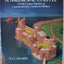 Cut & Assemble a Medieval Castle: A Full-Color Model of Caer