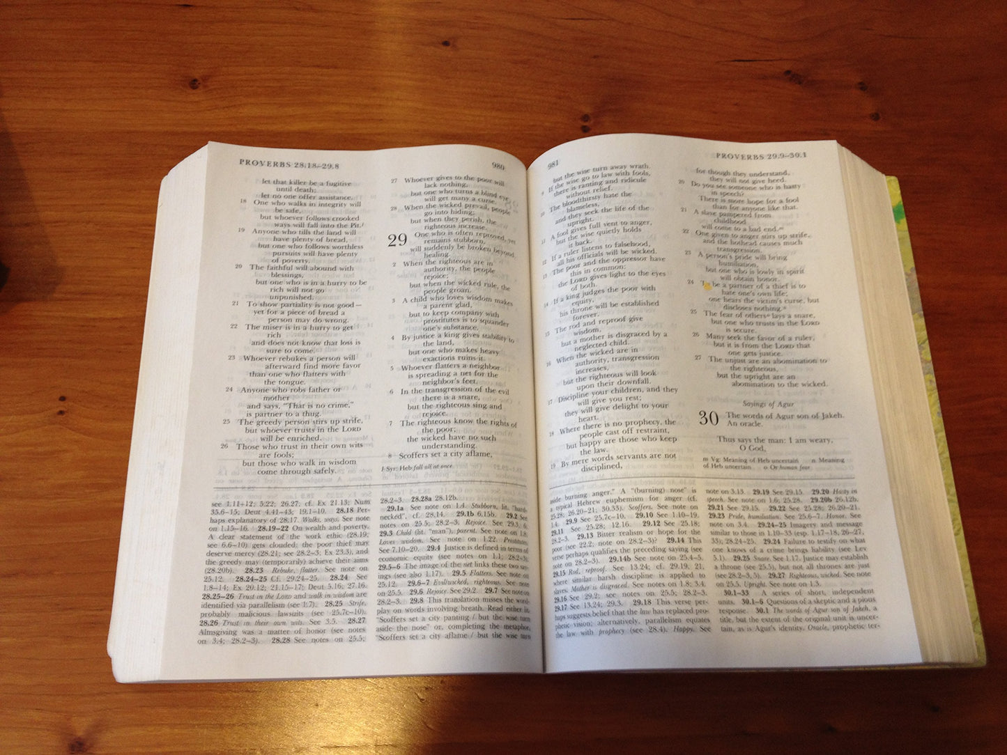 The HarperCollins Study Bible : New Revised Standard Version