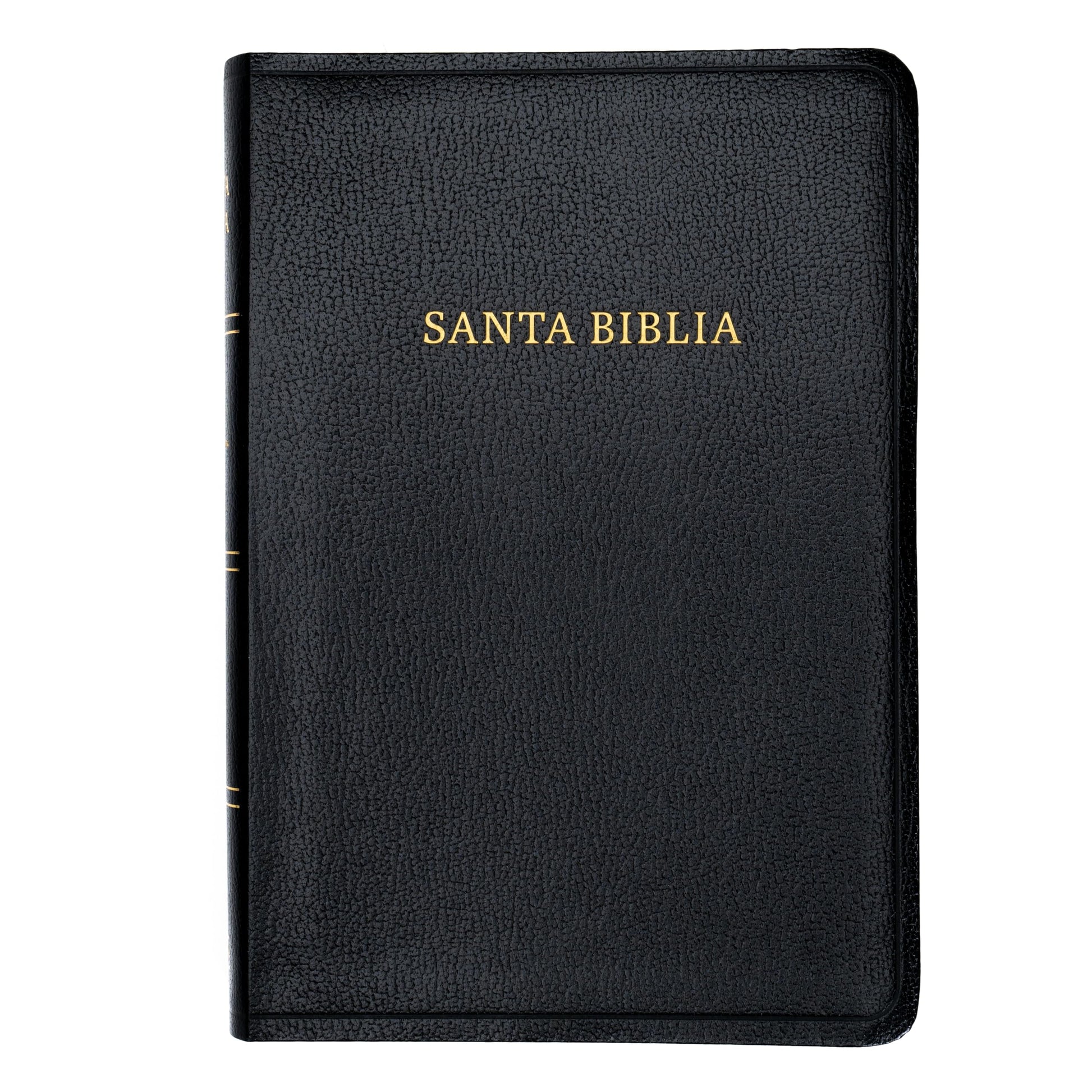 RVR 1960 Biblia letra gigante, negro imitacin piel (Edicin 2023): Con referencias. Nueva tipografa (Spanish Edition)
