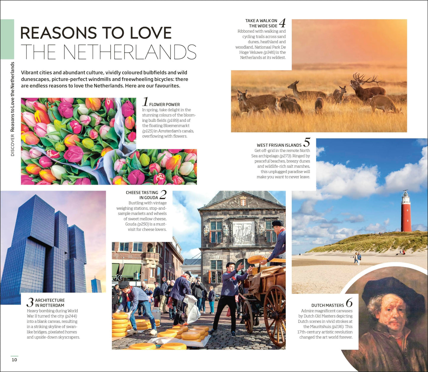 DK Eyewitness The Netherlands (Travel Guide)