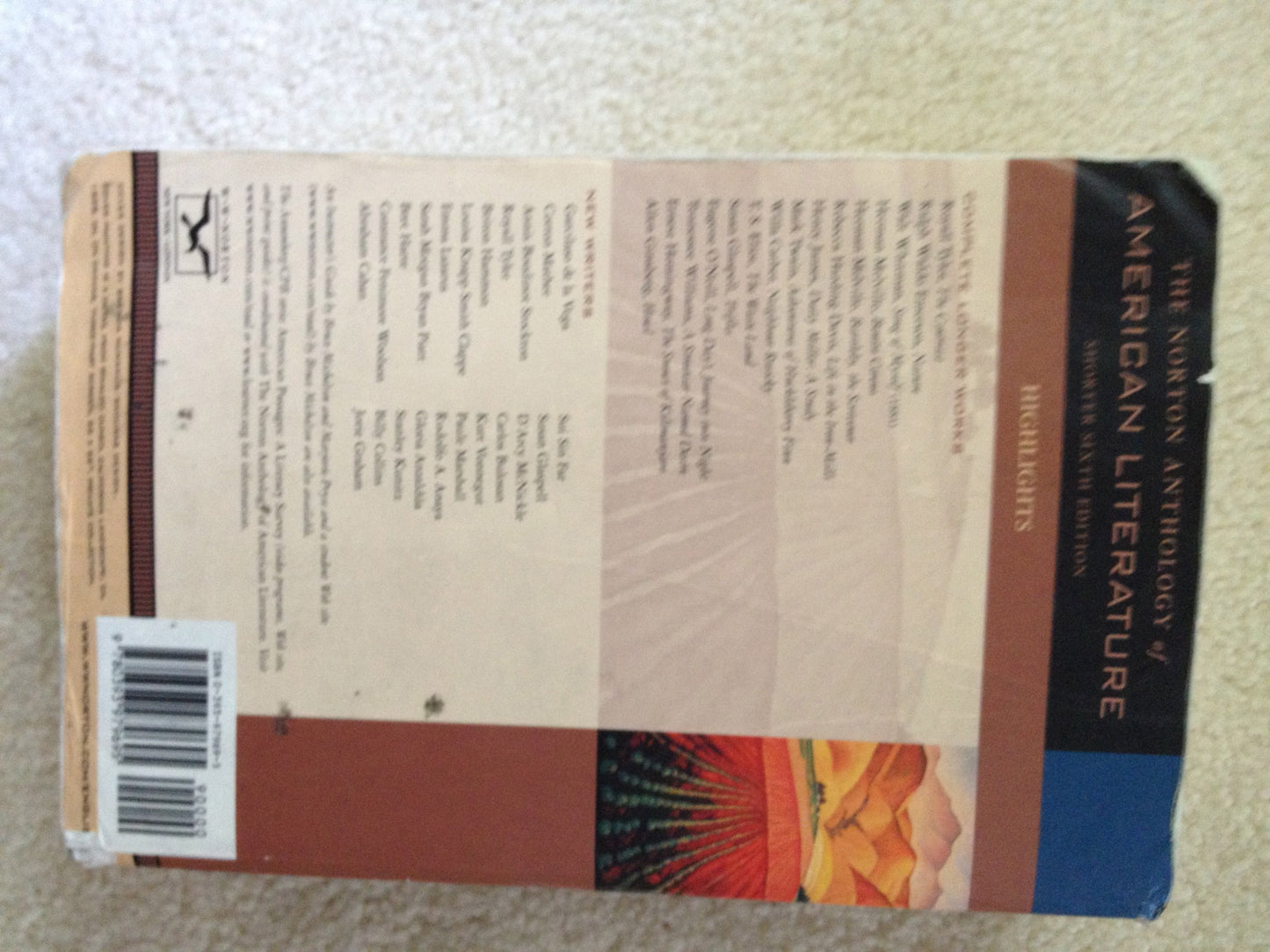 The Norton Anthology of American Literature: Shorter Version