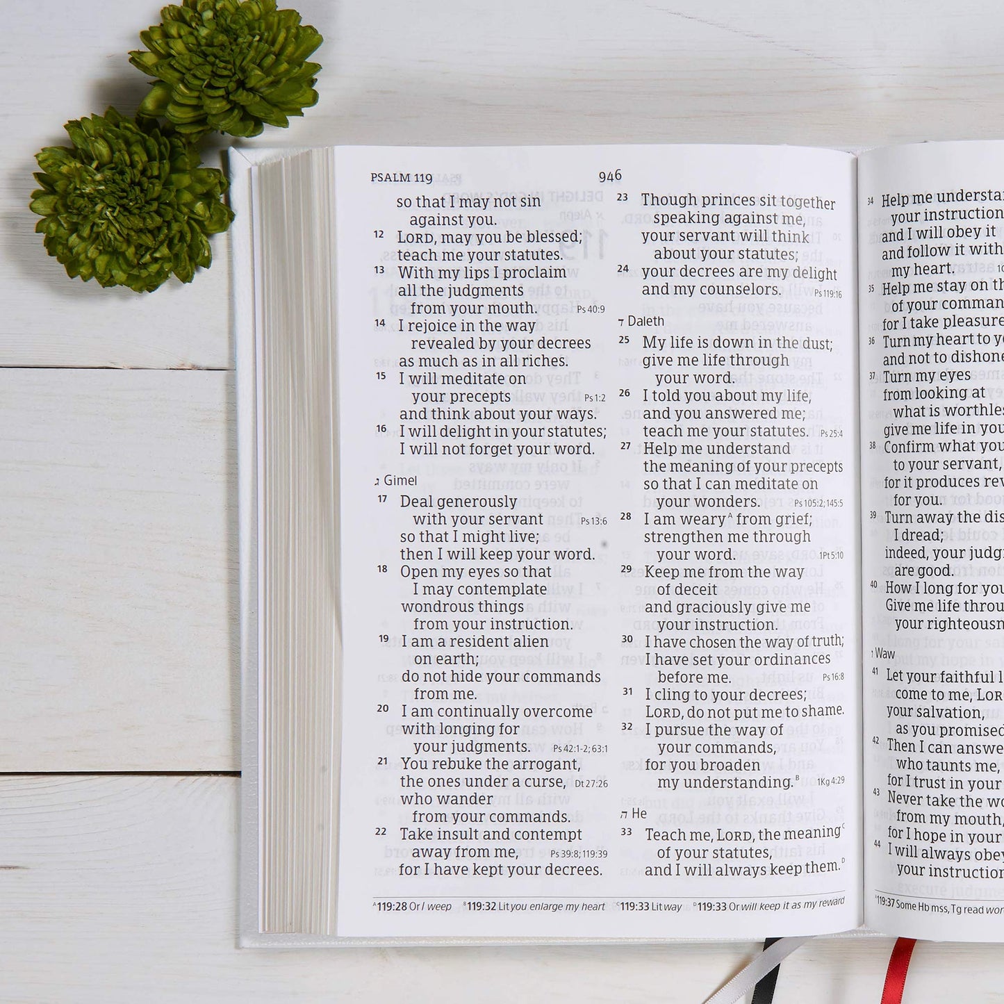 CSB Family Bible, White Bonded Leather Over Board: Holy Bible