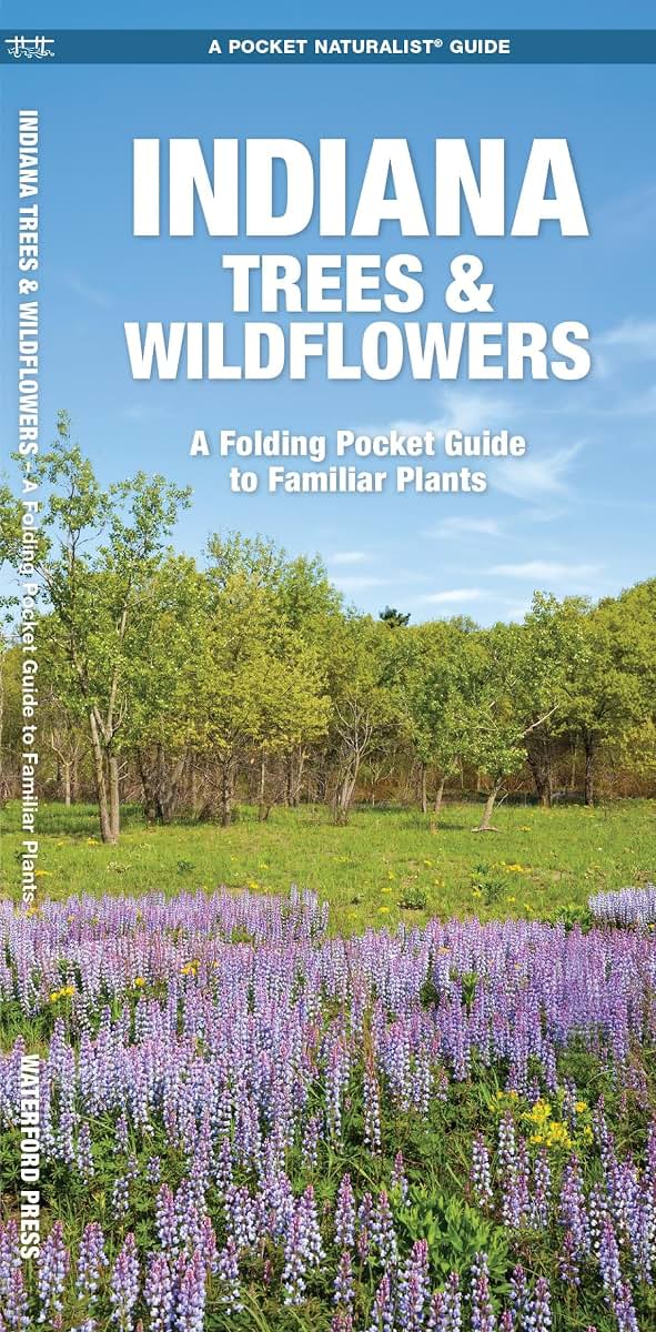 Indiana Trees & Wildflowers: A Folding Pocket Guide to Familiar Plants (Wildlife and Nature Identification)