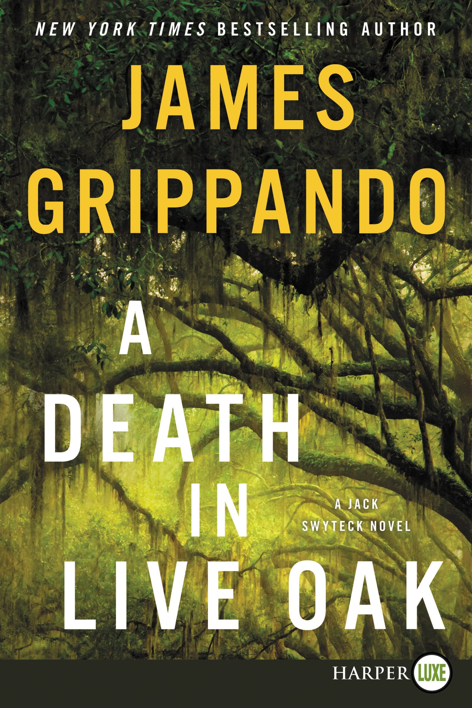 A Death in Live Oak: A Jack Swyteck Novel (Jack Swyteck Novel, 14)
