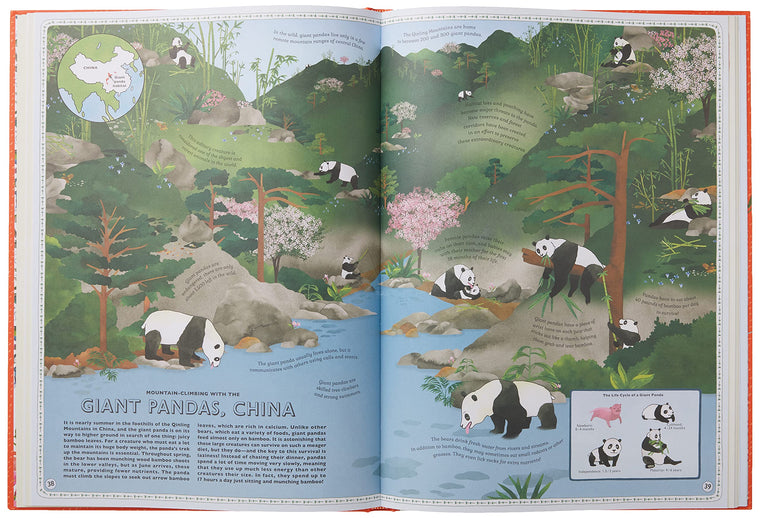 Atlas of Animal Adventures: A collection of nature's most unmissable events, epic migrations and extraordinary behaviours — back cover