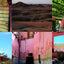 Gardens of Marrakesh by Gray, Angelica