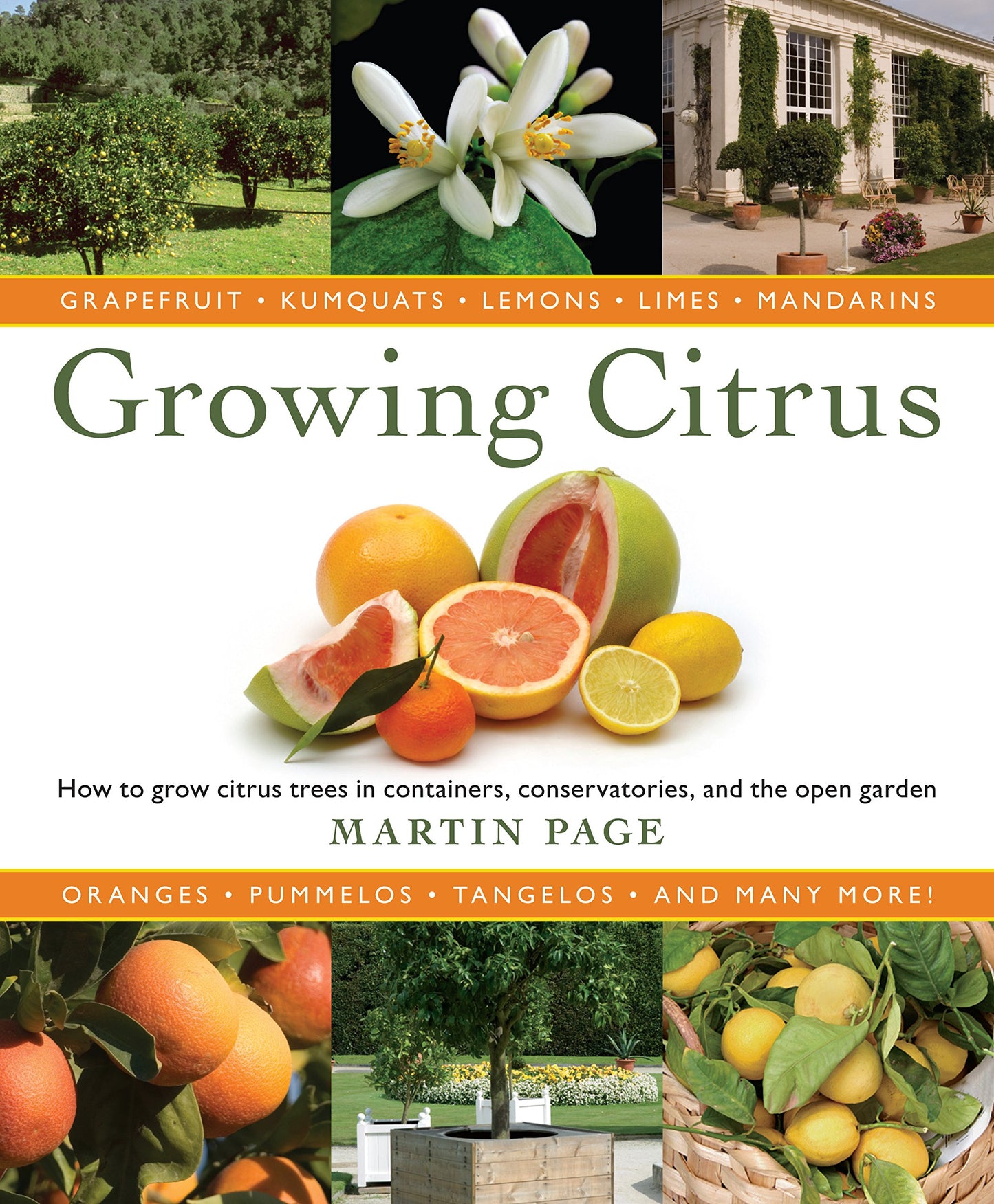 Growing Citrus: The Essential Gardener's Guide by Page, Mart