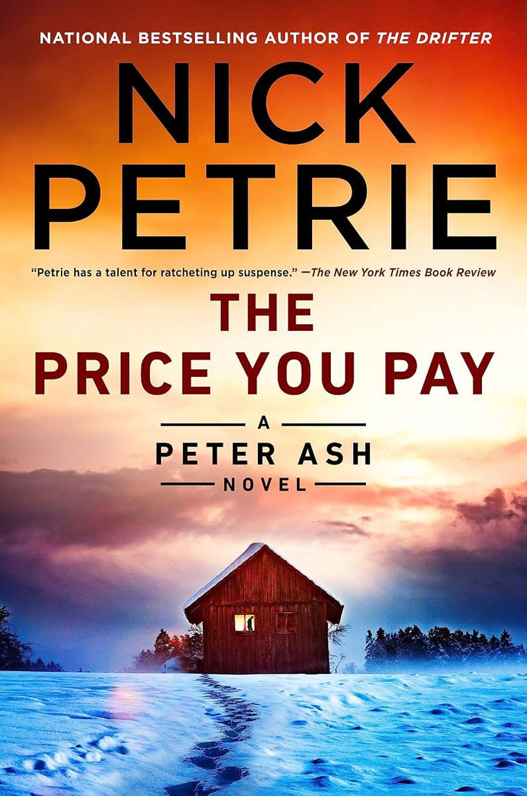 The Price You Pay (A Peter Ash Novel) by Petrie, Nick