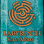 Labyrinth (The Languedoc Trilogy)