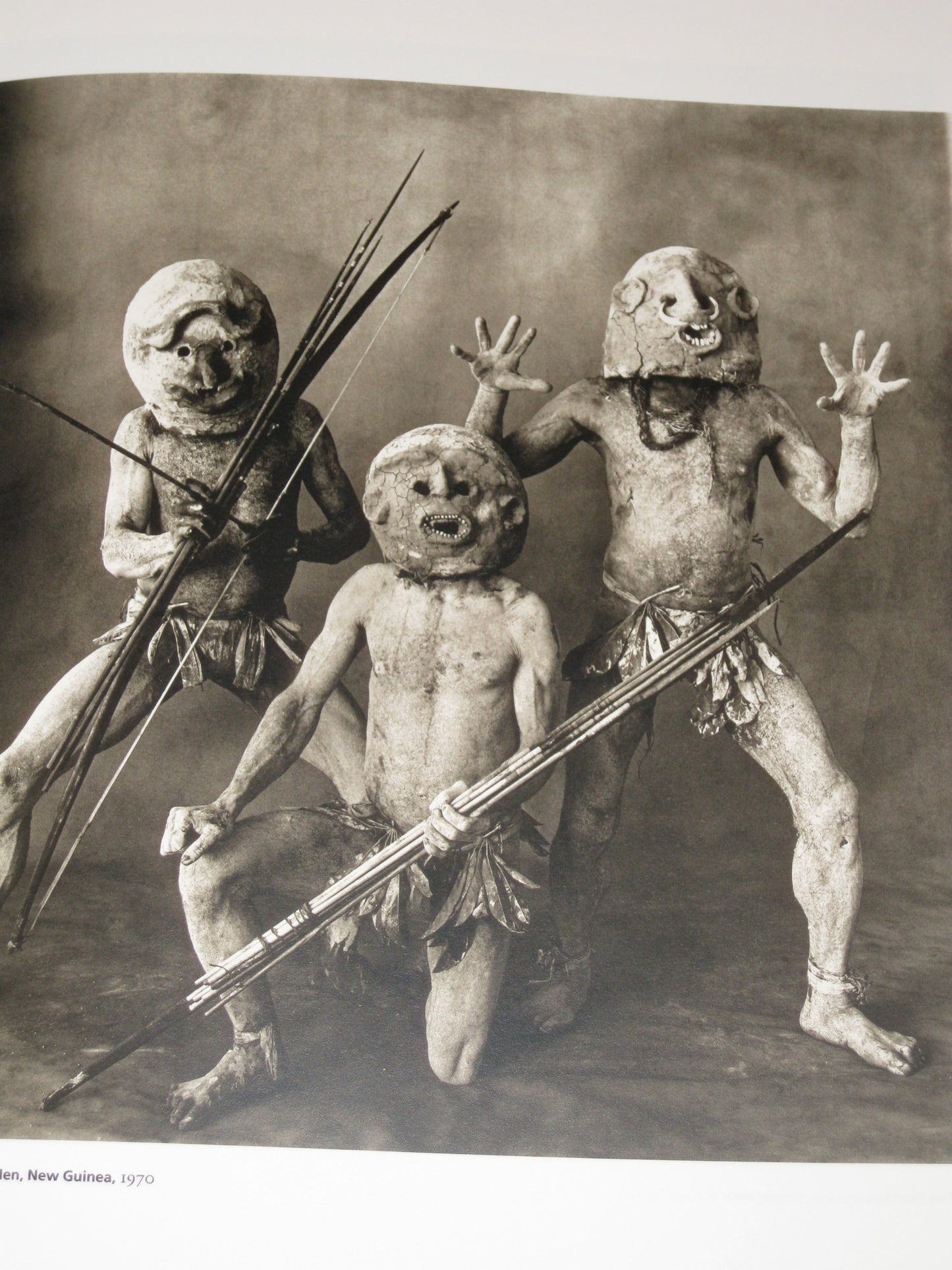 Irving Penn: Platinum Prints by Greenough, Sarah