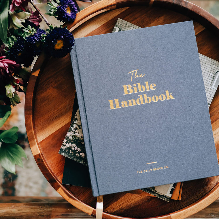 The Bible Handbook — back cover