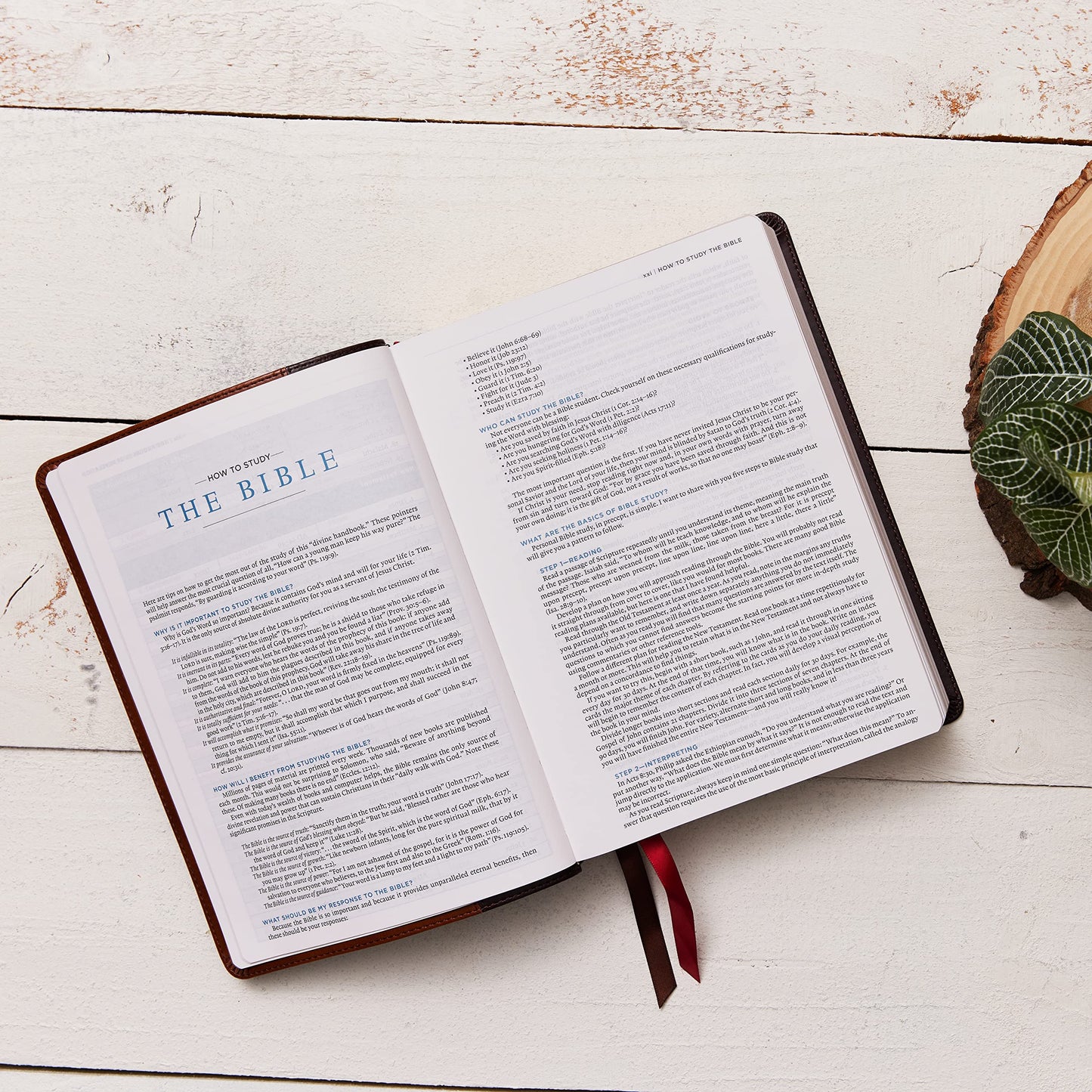 ESV, MacArthur Study Bible, Brown Leathersoft, Thumb Indexed: Unleashing God's Truth One Verse at a Time (Holy Bible, English Standard Version)