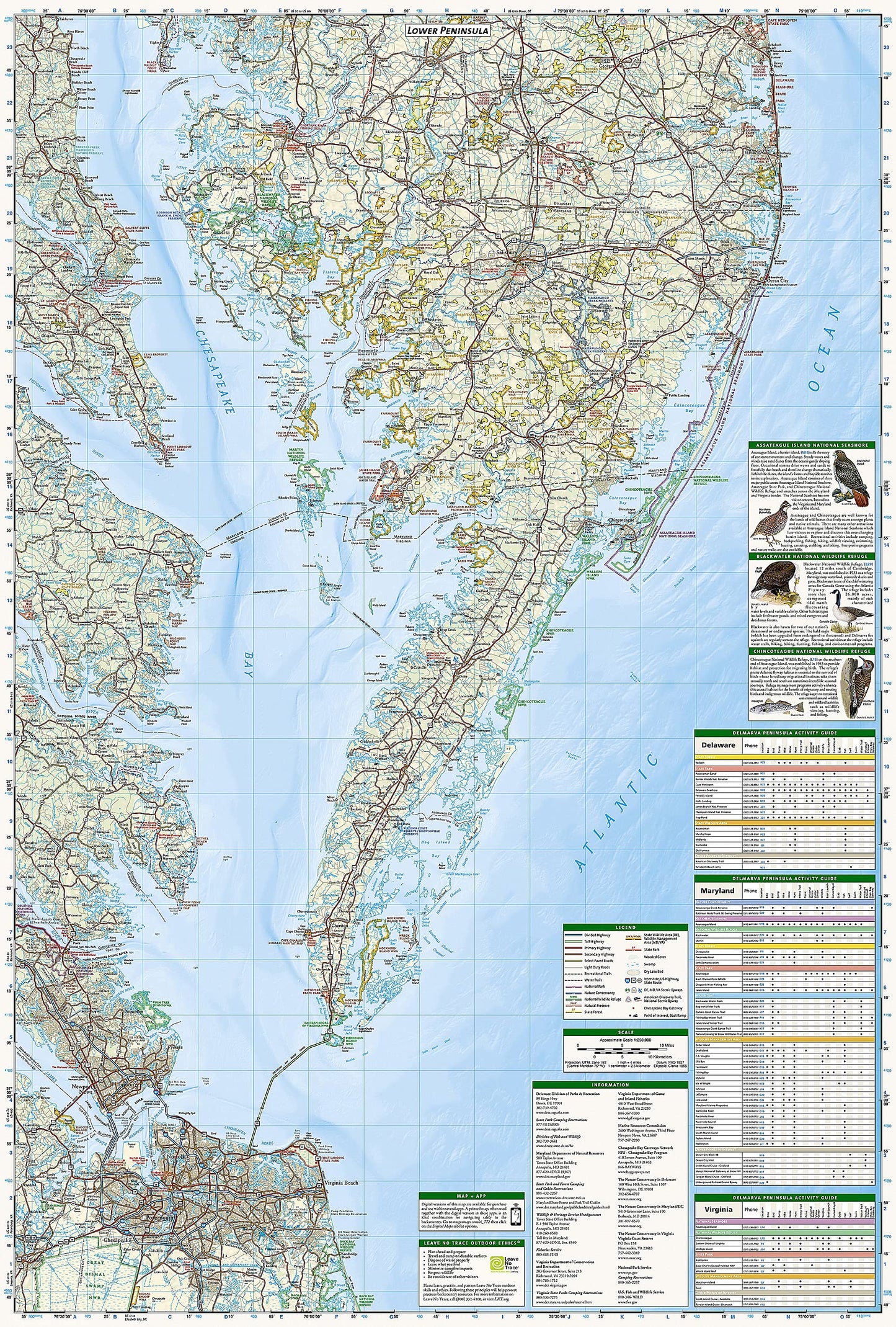 Delmarva Peninsula Map (National Geographic Trails Illustrated Map, 772)
