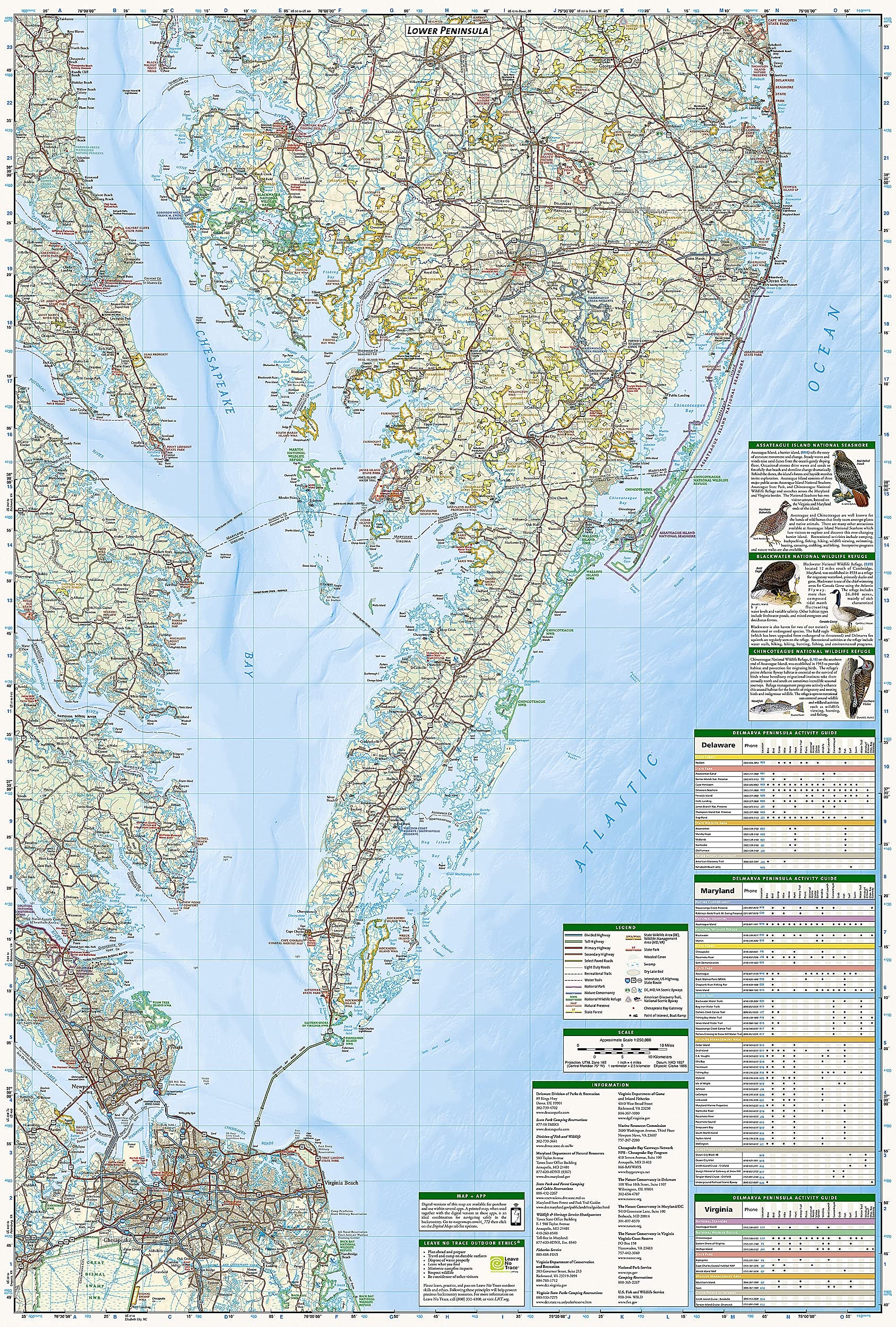 Delmarva Peninsula Map (National Geographic Trails Illustrated Map, 772)