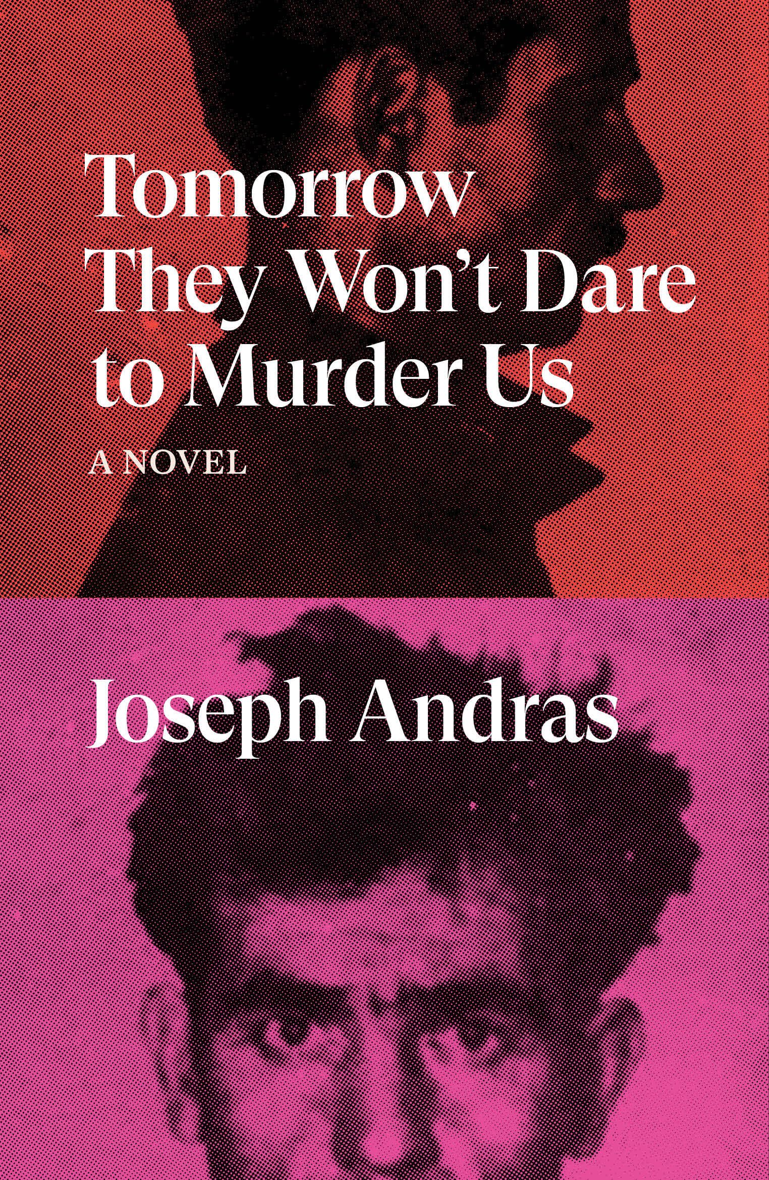 Tomorrow They Won't Dare to Murder Us: A Novel