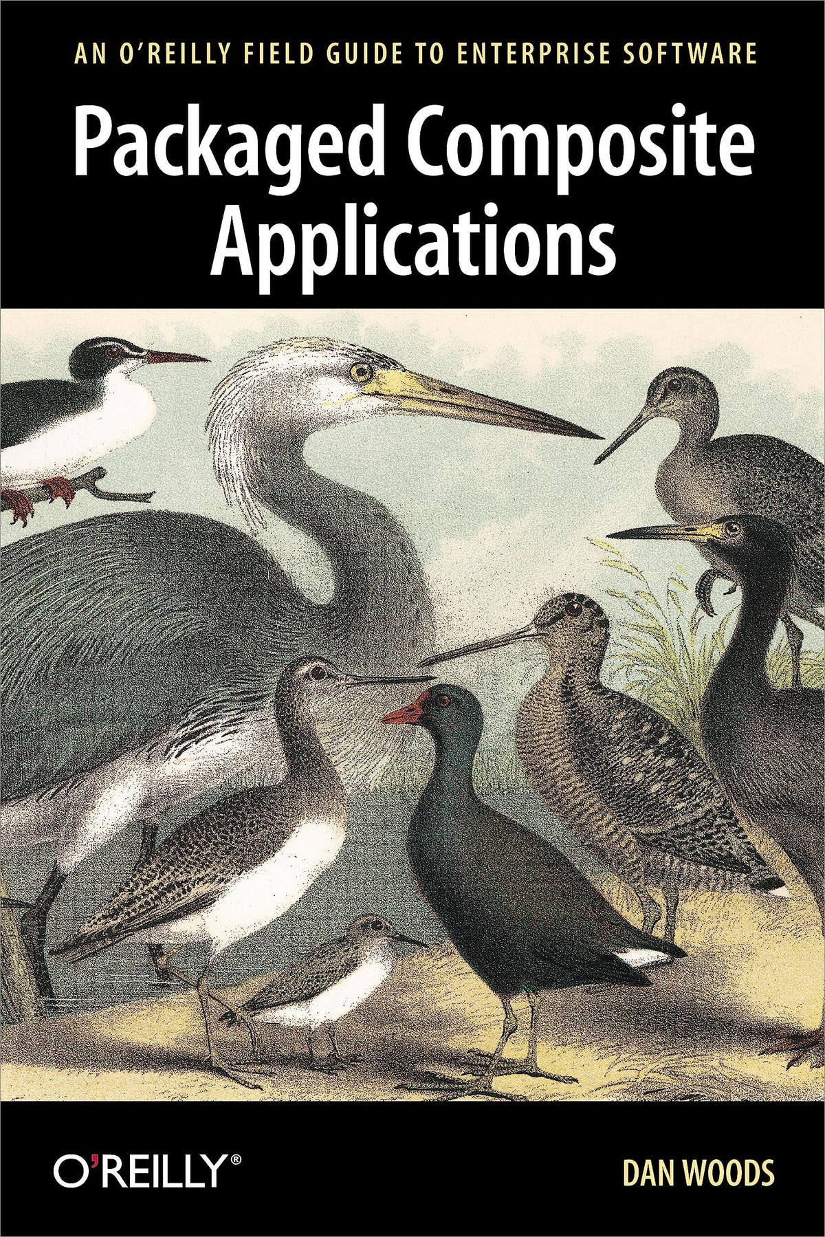 Packaged Composite Applications: An O'Reilly Field Guide to Enterprise Software