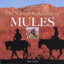 The Natural Superiority of Mules by Hauer, John