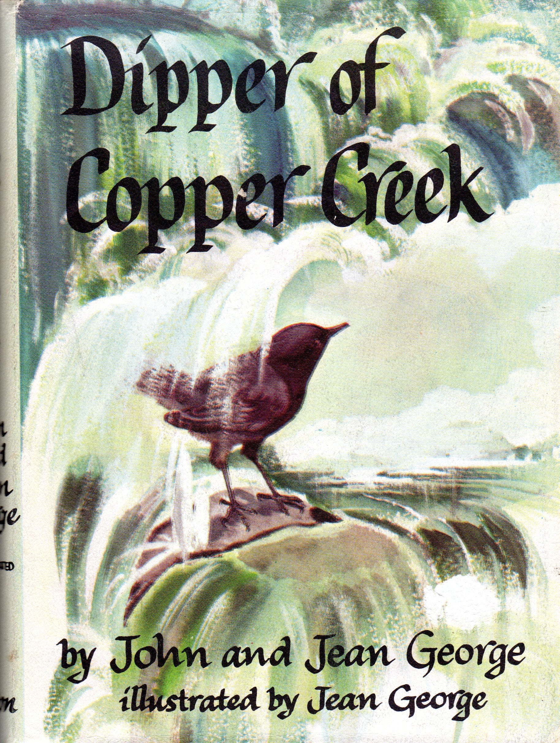 Dipper of Copper Creek