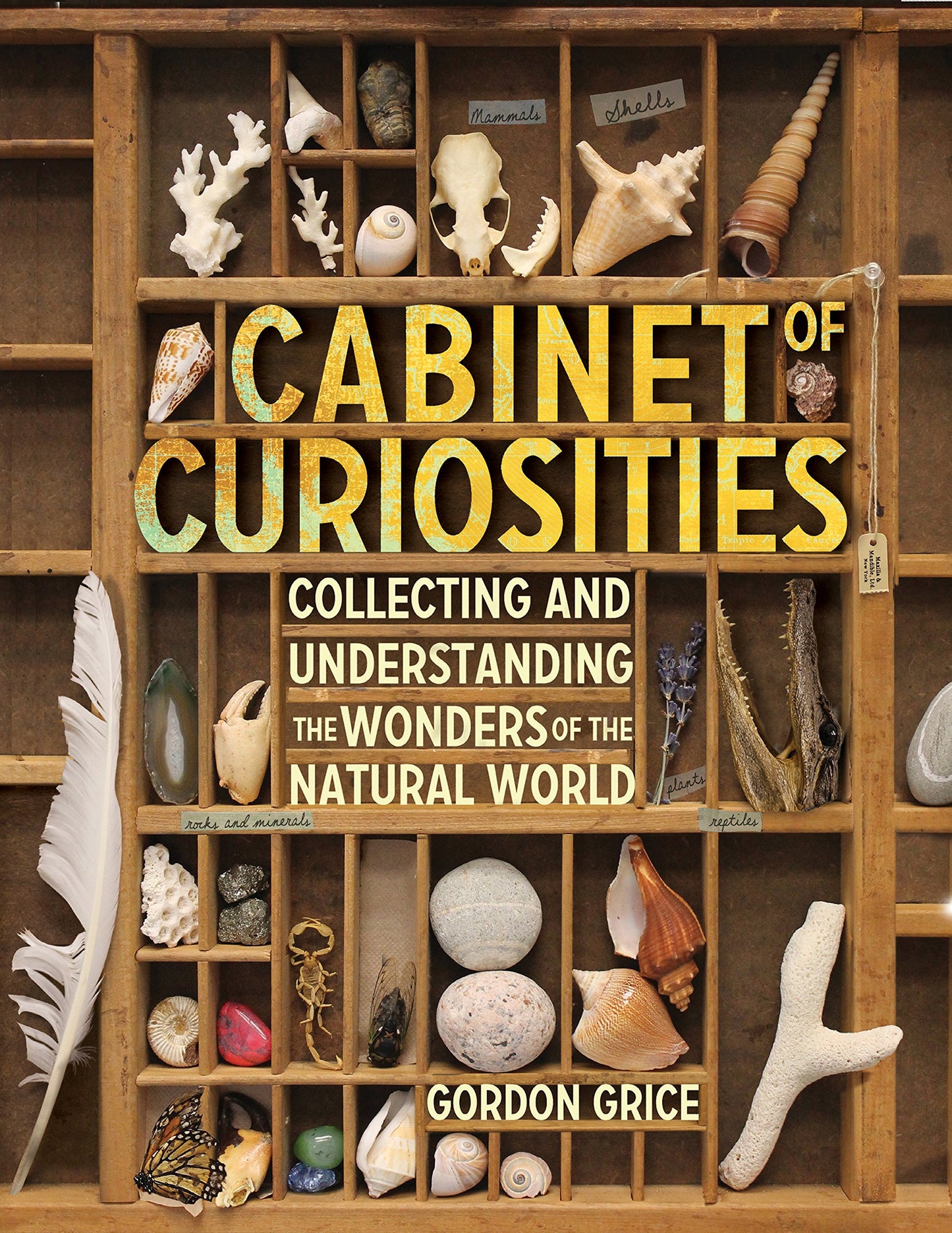 Cabinet of Curiosities: Collecting and Understanding the Won
