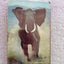 Among the Elephants by Douglas-Hamilton, Iain